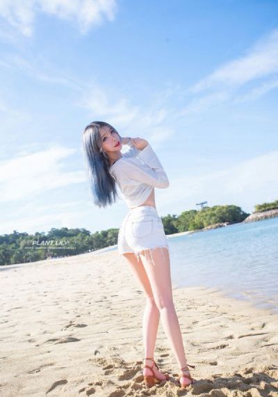 炼狱玫瑰