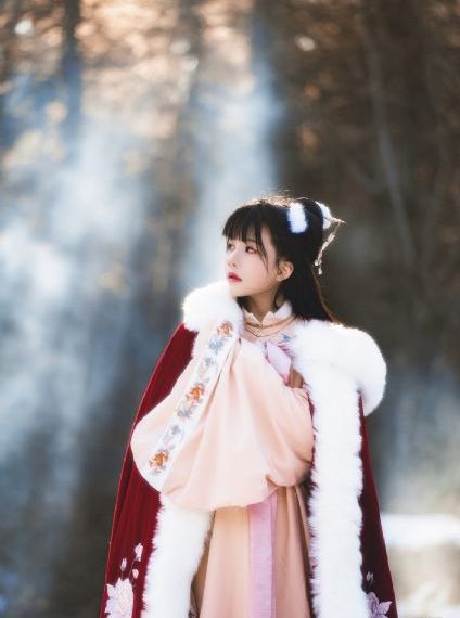 男女一进一出视频